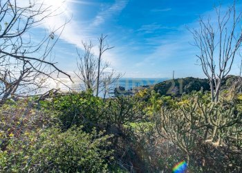 DSC01655.jpg - Terreno agricolo Via Vampolieri, Aci Castello - foto 28