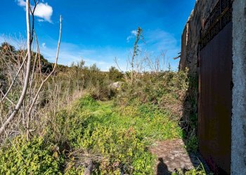 DSC01656.jpg - Terreno agricolo Via Vampolieri, Aci Castello - foto 29
