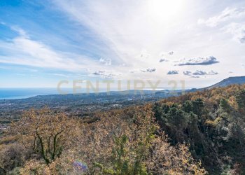 DSC01700.jpg - Stabile - Palazzo Via Cassone 75, Zafferana Etnea - foto 11