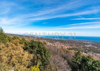 DSC01714.jpg - Stabile - Palazzo Via Cassone 75, Zafferana Etnea - foto 23