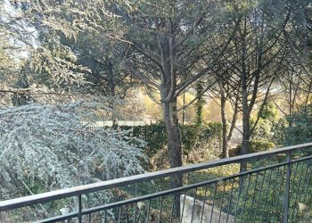 foto villa pedara _18.jpg - Villa Via Tarderia 79, Pedara - foto 21