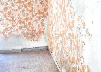 foto villa pedara _24.jpg - Villa Via Tarderia 79, Pedara - foto 26