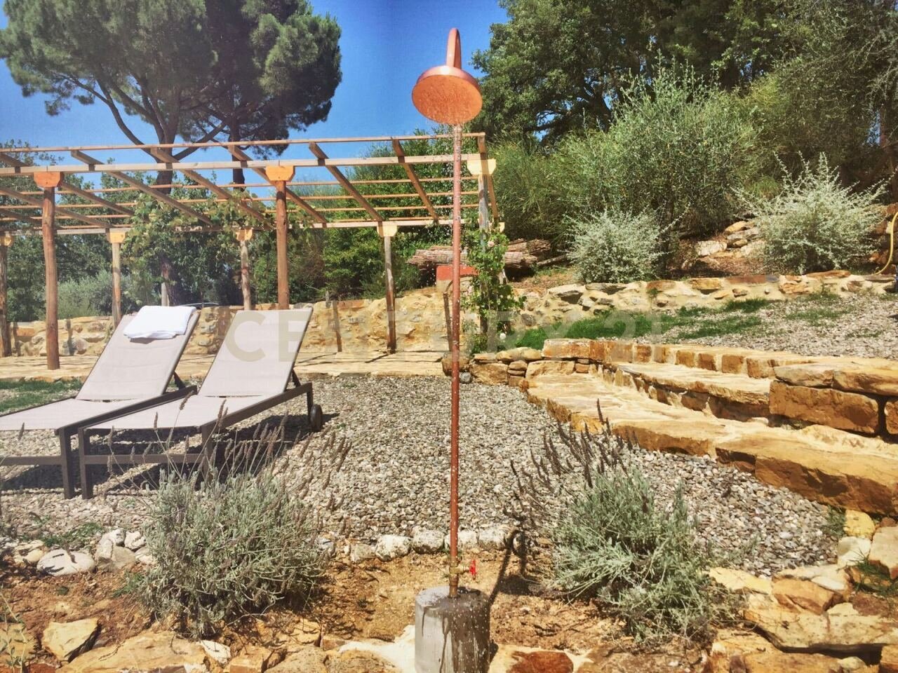 2016-07-02-PHOTO-00000455.jpg - Casale località podere bizzarri, Scarlino - foto 3