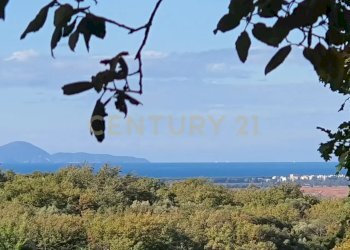 IMG_20211106_104910_250.jpg - Casale località podere bizzarri, Scarlino - photo 10