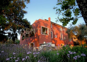 giardino-dei-sugheri_mod_017.jpg - Casale località podere bizzarri, Scarlino - photo 15