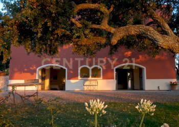 giardino-dei-sugheri_mod_020.jpg - Casale località podere bizzarri, Scarlino - photo 16