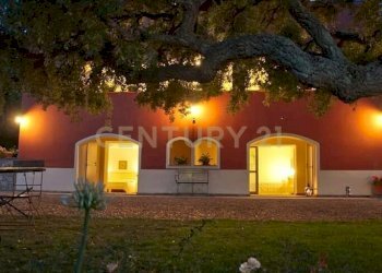 IMG_20200806_114320_735.jpg - Casale località podere bizzarri, Scarlino - photo 20