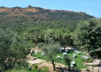 DSC_0206.jpg - Casale località podere bizzarri, Scarlino - photo 30