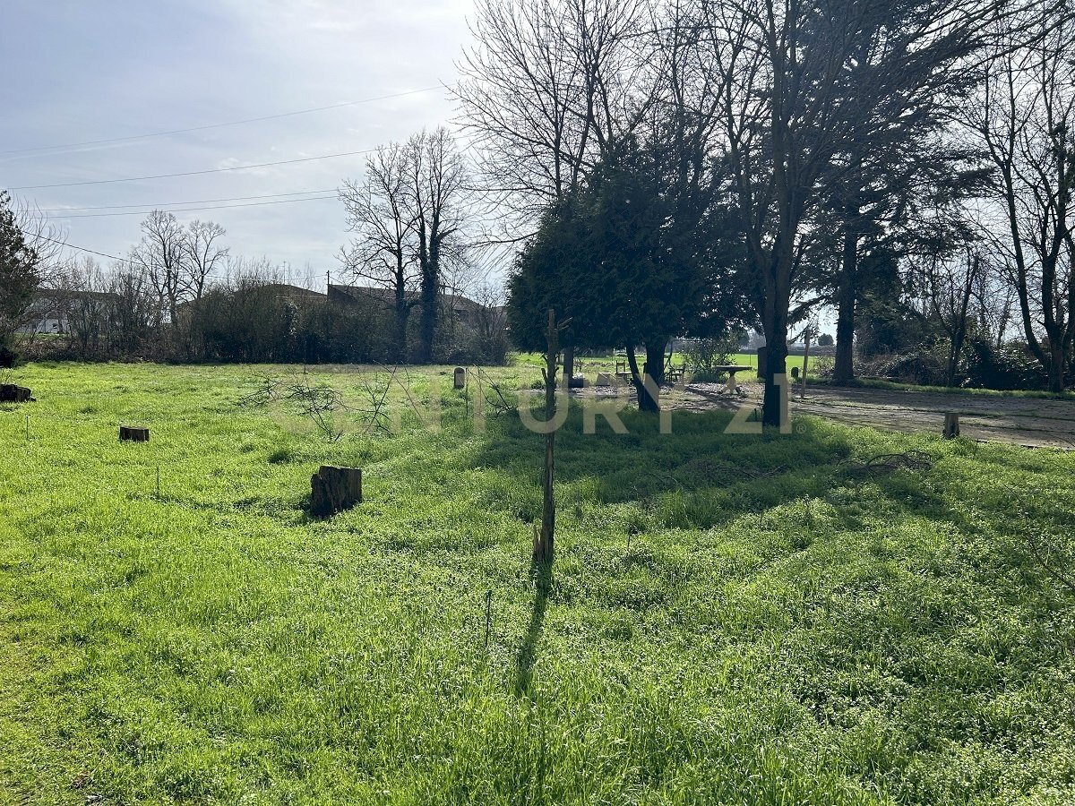 IMG_0673.JPG - Rustico Argine San Lorenzo 11, Ostiglia - foto 3