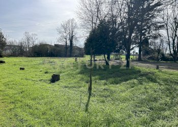 IMG_0673.JPG - Rustico Argine San Lorenzo 11, Ostiglia - foto 3