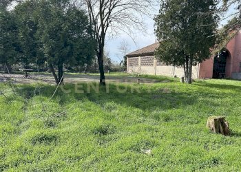 IMG_0675.JPG - Rustico Argine San Lorenzo 11, Ostiglia - foto 4