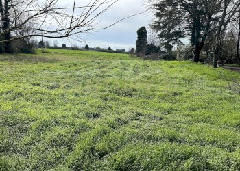 IMG_0676.JPG - Rustico Argine San Lorenzo 11, Ostiglia - foto 5