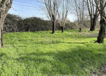 IMG_0677.JPG - Rustico Argine San Lorenzo 11, Ostiglia - foto 6