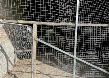 IMG_0681.JPG - Rustico Argine San Lorenzo 11, Ostiglia - foto 10