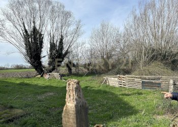 IMG_0685.JPG - Rustico Argine San Lorenzo 11, Ostiglia - foto 13