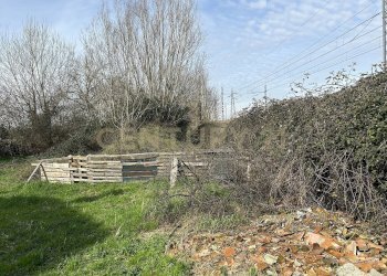 IMG_0687.JPG - Rustico Argine San Lorenzo 11, Ostiglia - foto 14