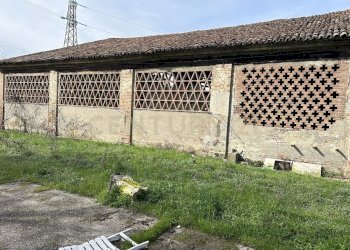 IMG_0701.JPG - Rustico Argine San Lorenzo 11, Ostiglia - foto 27