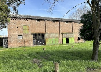 IMG_0703.JPG - Rustico Argine San Lorenzo 11, Ostiglia - foto 29