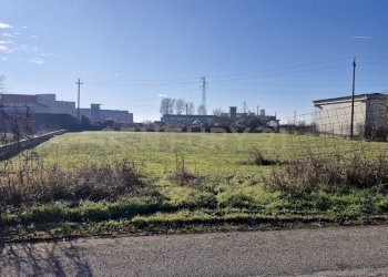 20260111_105921.jpg - Terreno edificabile Via Torino 5B, Cerea - foto 2