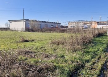 20260111_105929.jpg - Terreno edificabile Via Torino 5B, Cerea - foto 3