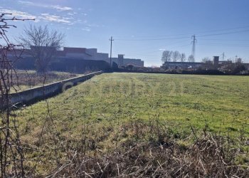 20260111_105935.jpg - Terreno edificabile Via Torino 5B, Cerea - foto 4