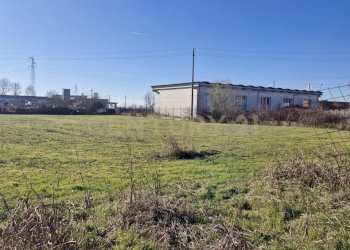 20260111_105937.jpg - Terreno edificabile Via Torino 5B, Cerea - foto 5