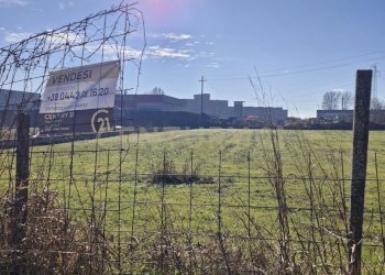 20260111_105952.jpg - Terreno edificabile Via Torino 5B, Cerea - foto 6