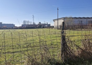 20260111_105954.jpg - Terreno edificabile Via Torino 5B, Cerea - foto 7