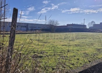 20260111_110019.jpg - Terreno edificabile Via Torino 5B, Cerea - foto 8