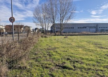 20260111_110028.jpg - Terreno edificabile Via Torino 5B, Cerea - foto 10