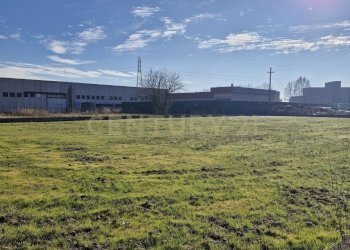 20260111_110030.jpg - Terreno edificabile Via Torino 5B, Cerea - foto 11