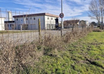 20260111_110039.jpg - Terreno edificabile Via Torino 5B, Cerea - foto 12