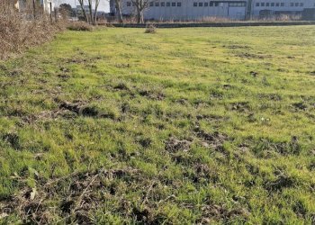 20260111_110052.jpg - Terreno edificabile Via Torino 5B, Cerea - foto 13