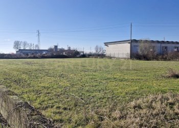 20260111_110140.jpg - Terreno edificabile Via Torino 5B, Cerea - foto 15