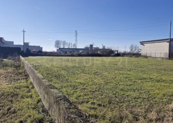 20260111_110142.jpg - Terreno edificabile Via Torino 5B, Cerea - foto 16