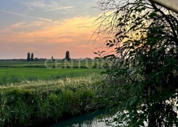 0de502ed-77dd-461a-b426-d890b6065d05.jpg - Villa Via Isolella San P. 125, Cerea - foto 1