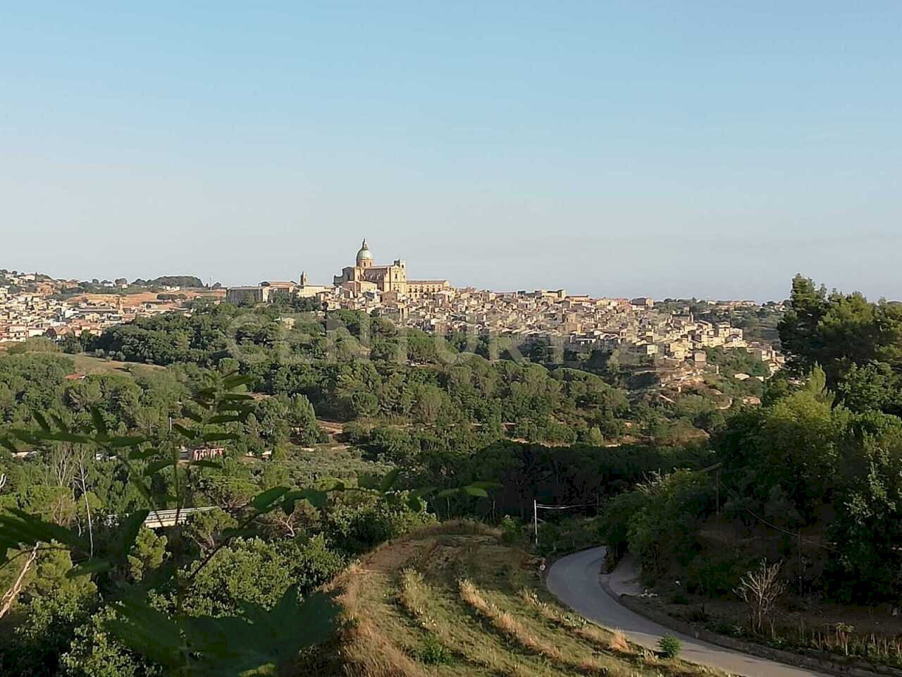 WhatsApp Image 2026-01-16 at 13.39.20.jpeg - Terreno agricolo Contrada Piano Cannata Balatazza, Piazza Armerina - foto 2