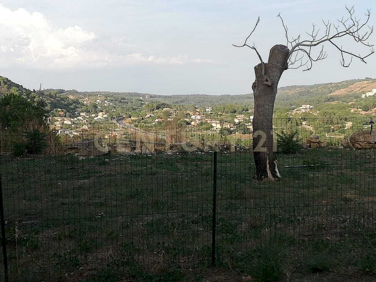 WhatsApp Image 2026-01-16 at 13.39.22 (4).jpeg - Terreno agricolo Contrada Piano Cannata Balatazza, Piazza Armerina - foto 3