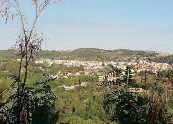 WhatsApp Image 2026-01-16 at 13.39.16.jpeg - Terreno agricolo Contrada Piano Cannata Balatazza, Piazza Armerina - foto 1