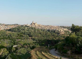 WhatsApp Image 2026-01-16 at 13.39.20.jpeg - Terreno agricolo Contrada Piano Cannata Balatazza, Piazza Armerina - foto 2