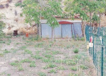 WhatsApp Image 2026-01-16 at 13.39.24 (1).jpeg - Terreno agricolo Contrada Piano Cannata Balatazza, Piazza Armerina - foto 4