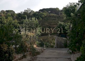 WhatsApp Image 2026-01-16 at 13.39.26 (1).jpeg - Terreno agricolo Contrada Piano Cannata Balatazza, Piazza Armerina - foto 6