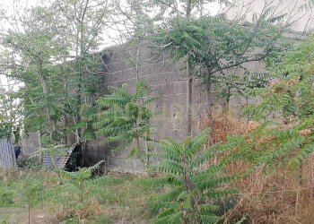 WhatsApp Image 2026-01-16 at 13.39.18.jpeg - Terreno agricolo Contrada Piano Cannata Balatazza, Piazza Armerina - foto 7