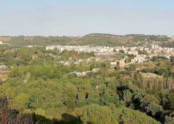 WhatsApp Image 2026-01-16 at 13.39.22 (2).jpeg - Terreno agricolo Contrada Piano Cannata Balatazza, Piazza Armerina - foto 9