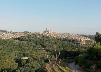 WhatsApp Image 2026-01-16 at 13.39.26.jpeg - Terreno agricolo Contrada Piano Cannata Balatazza, Piazza Armerina - foto 14