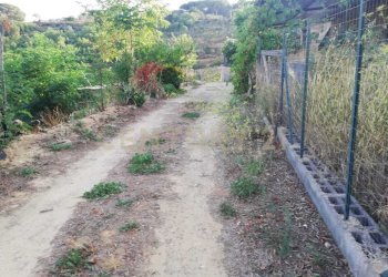 WhatsApp Image 2026-01-16 at 13.39.25.jpeg - Terreno agricolo Contrada Piano Cannata Balatazza, Piazza Armerina - foto 11