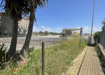 22-IMG_1279.JPG.jpg - Trilocale Via del Parco 3, Nettuno - foto 22