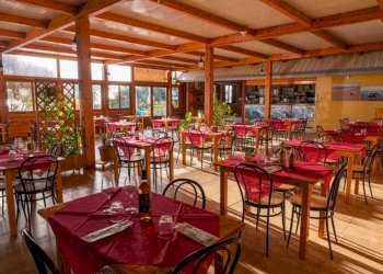 Immagine WhatsApp 2024-03-06 ore 15.56.27_34f63cb2 - Ristorante Cabras - foto 7