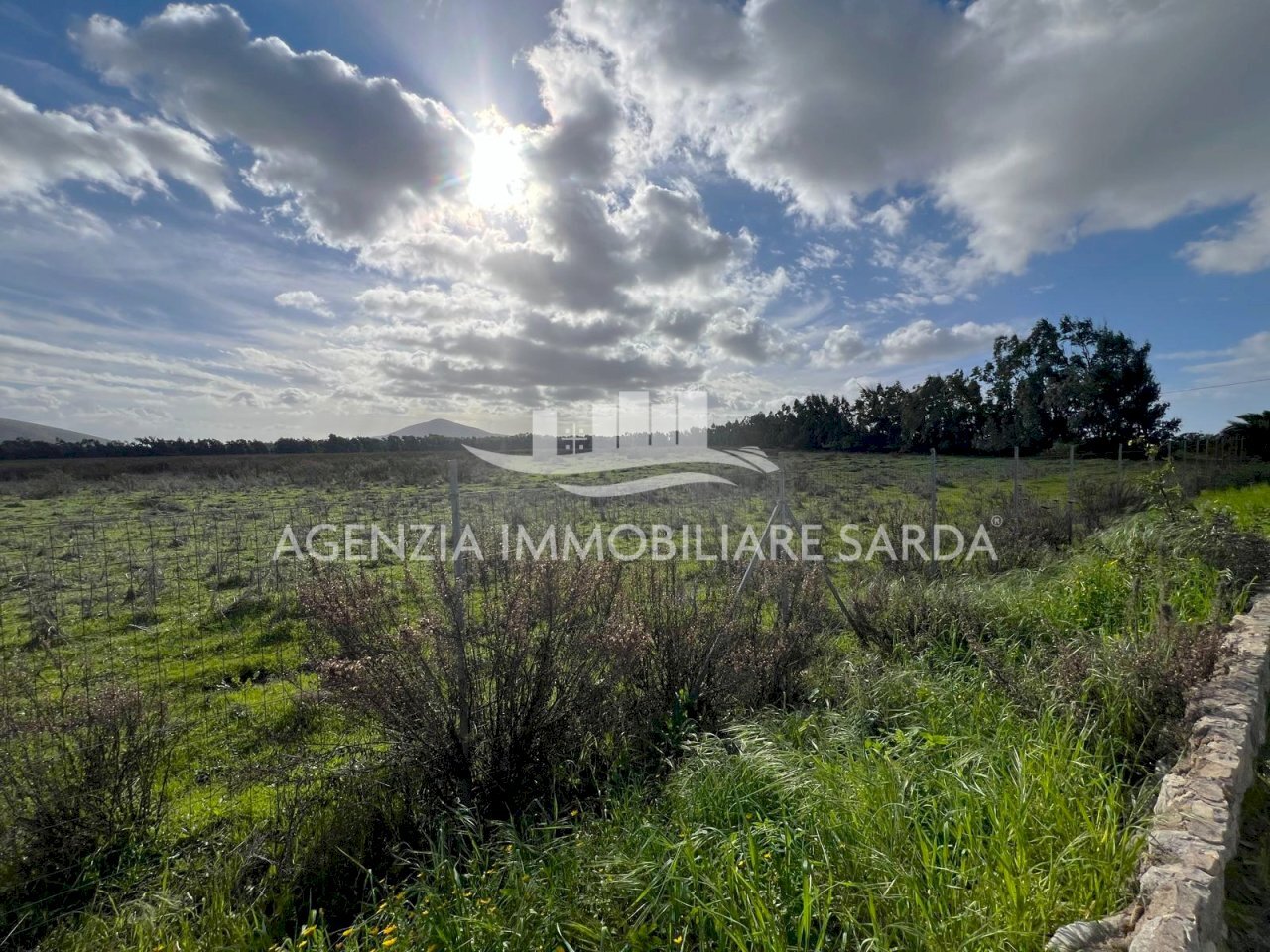 WhatsApp Image 2026-01-09 at 14.59.25.jpeg - Agricultural land Alghero - photo 2