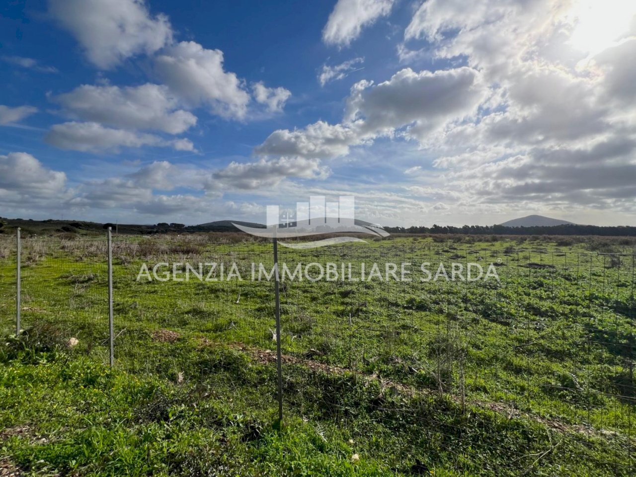 WhatsApp Image 2026-01-09 at 14.59.25 (4).jpeg - Agricultural land Alghero - photo 3